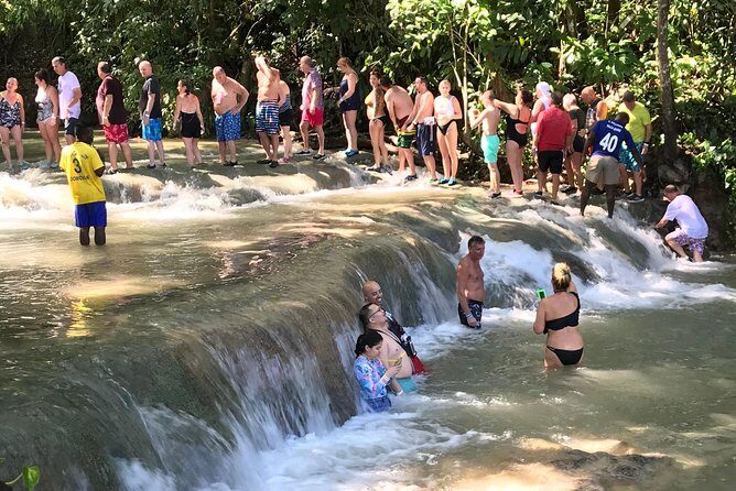 Dunn's River Falls From Montego Bay - Who Should Book This Tour?