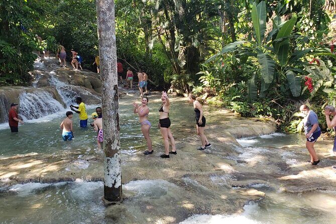 Dunn's River Falls Half Day Tour From Montego Bay - Final Thoughts