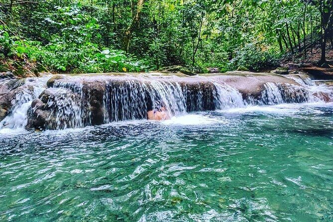 Dunn's River Falls & Luminous Lagoon Guided Tour from Montego Bay - Lunch Break: Jamaican Jerk Cuisine