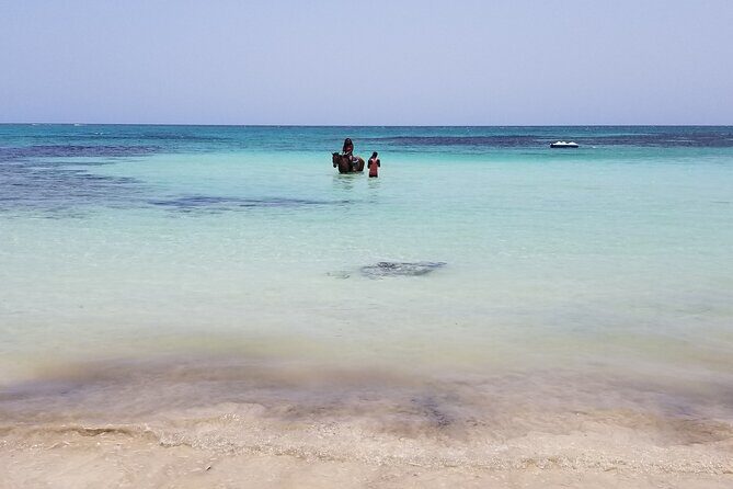 Dunn's River Falls, River Tubing, and Horseback Riding With Transportation - FAQs
