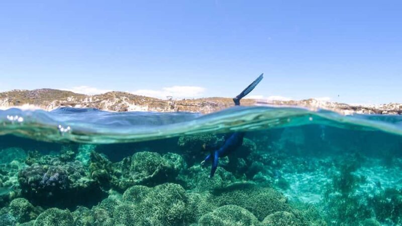 Dunsborough: Geographe Bay Eco & Snorkel Boat Tour - The Guides and Their Role