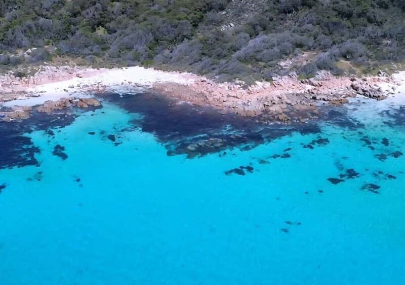 Dunsborough: Geographe Bay Eco & Snorkel Boat Tour - Who Is This Tour Best For?
