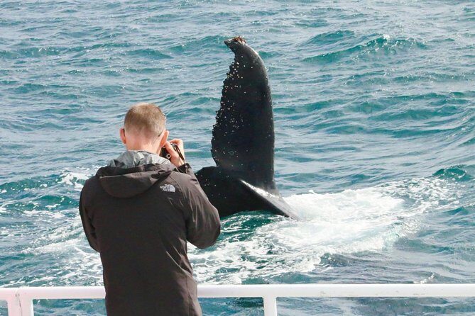 Dunsborough Whale Watching Eco Tour - Who Should Book This Tour?