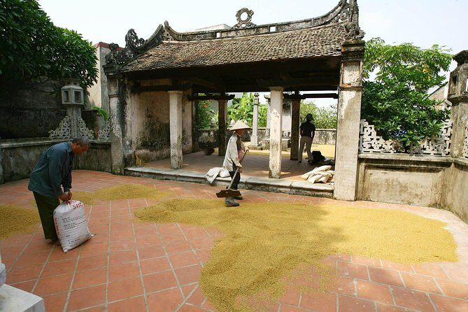 Duong Lam Ancient Village Countryside in Hanoi - A Deep Dive into the Experience