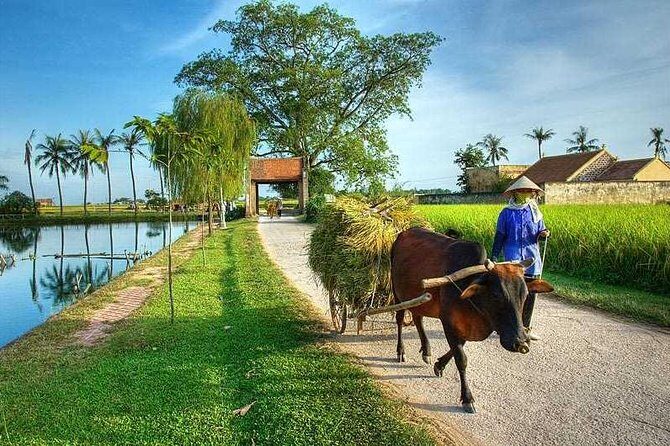 Duong Lam Ancient Village full day tour from Hanoi & experiencing local life - Discovering Duong Lam: A Day of Authentic Vietnamese Life and History