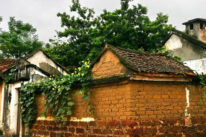 Duong Lam Ancient Village full day tour from Hanoi & experiencing local life - Who Is This Tour Best For?