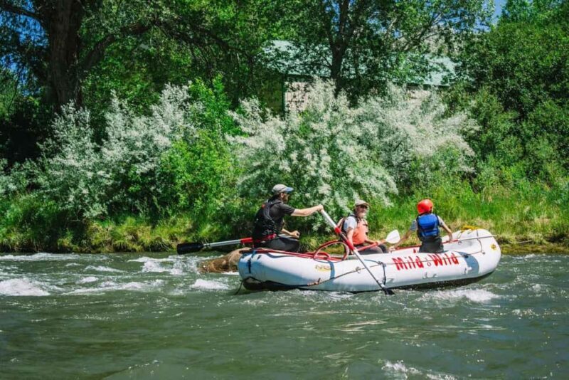 Durango 1/4 Day Rafting Trip - Lower Animas River - A Closer Look at the Experience