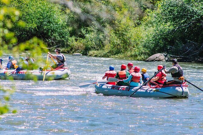 Durango 3/4 Day Rafting Trip with Lunch - Lower Animas River - A Closer Look at the Experience