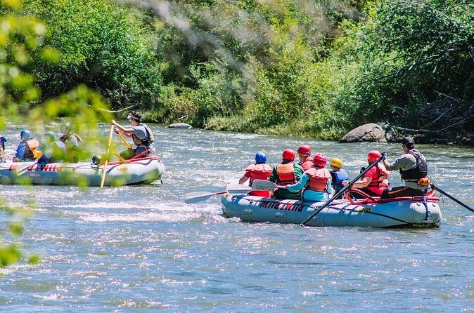 Durango 3/4 Day Rafting Trip with Lunch - Lower Animas River - Who Is This Tour Best For?