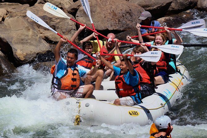 Durango Half Day Rafting Trip - Lower Animas River - Key Points