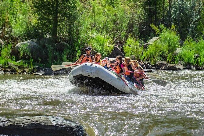 Durango Half Day Rafting Trip - Lower Animas River - Authenticity and Value