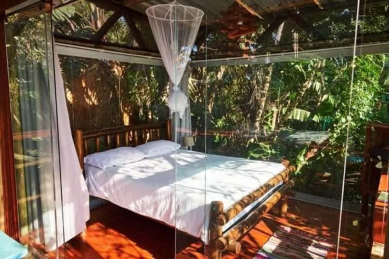 Durban: 5-Day Ocean and Yoga Bliss Retreat - Authentic Experiences and Traveler Feedback