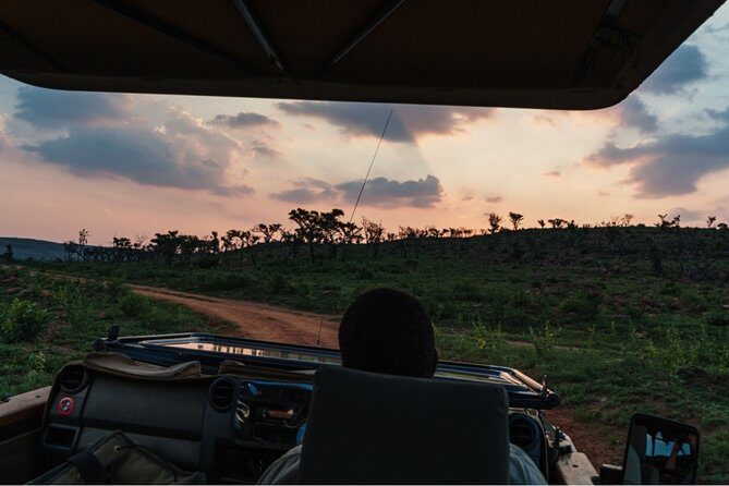 Durban: Big 5 Luxury Safari at an Award Winning Game Reserve Zeiss Binoculars - An In-Depth Look at the Safari Experience