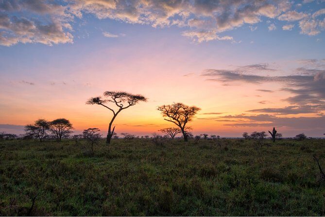 Durban: Big 5 Luxury Safari at an Award Winning Game Reserve Zeiss Binoculars - Authentic Testimonials