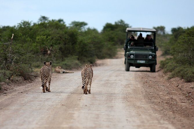 Durban: Big 5 Luxury Safari at an Award Winning Game Reserve Zeiss Binoculars - The Sum Up