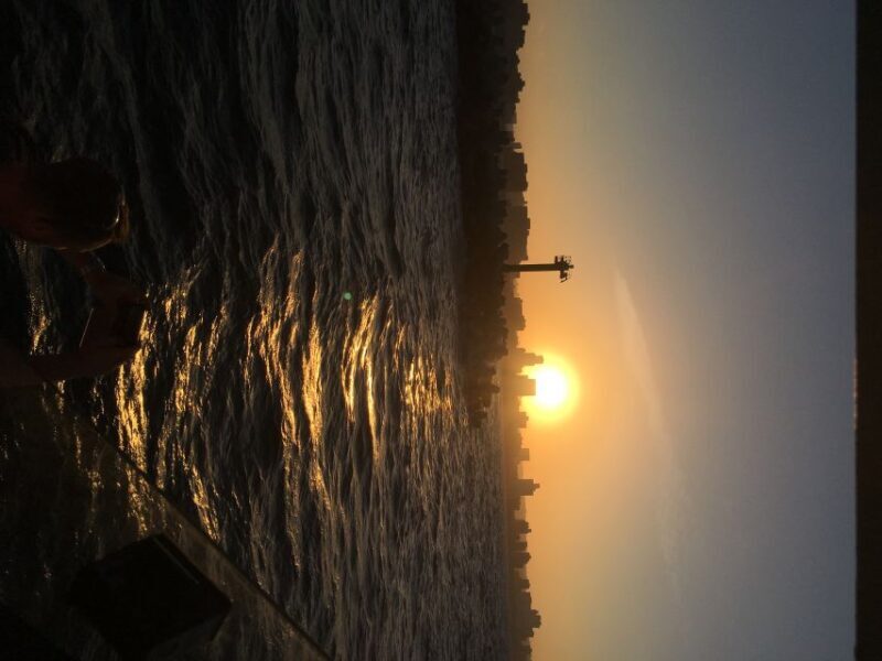 Durban: Durban: Whale and Dolphin Watching Boat Tour - Practical Tips for Your Tour