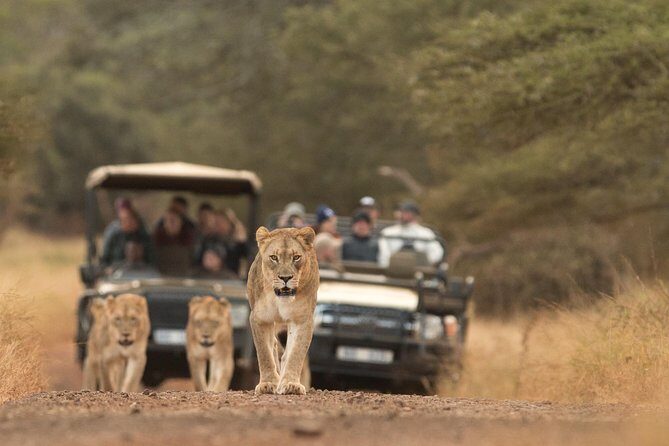 Durban: Go on Safari at 2 Game Reserves (Hluhluwe-Imfolozi) Pro Zeiss Binoculars - Introduction: A Well-Rounded Wildlife Day Near Durban