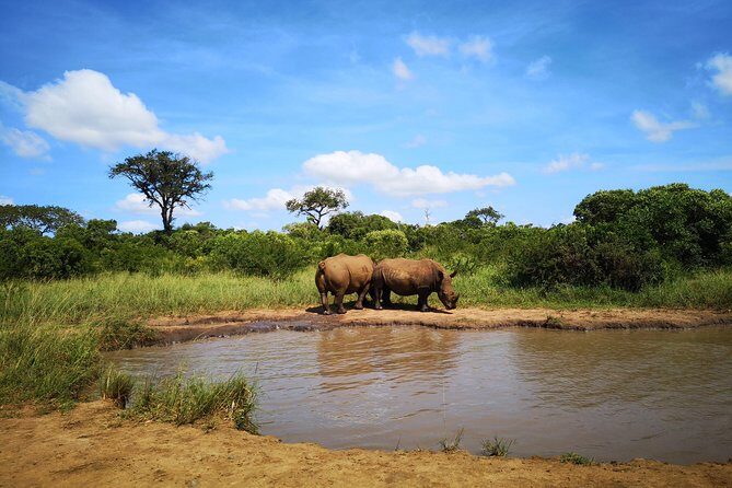 Durban: Go on Safari at 2 Game Reserves (Hluhluwe-Imfolozi) Pro Zeiss Binoculars - Transport and Group Size