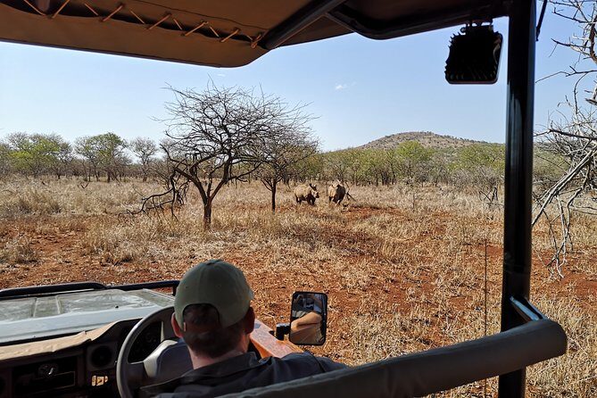 Durban: Go on Safari at 2 Game Reserves (Hluhluwe-Imfolozi) Pro Zeiss Binoculars - Authentic Encounters and Authentic Details