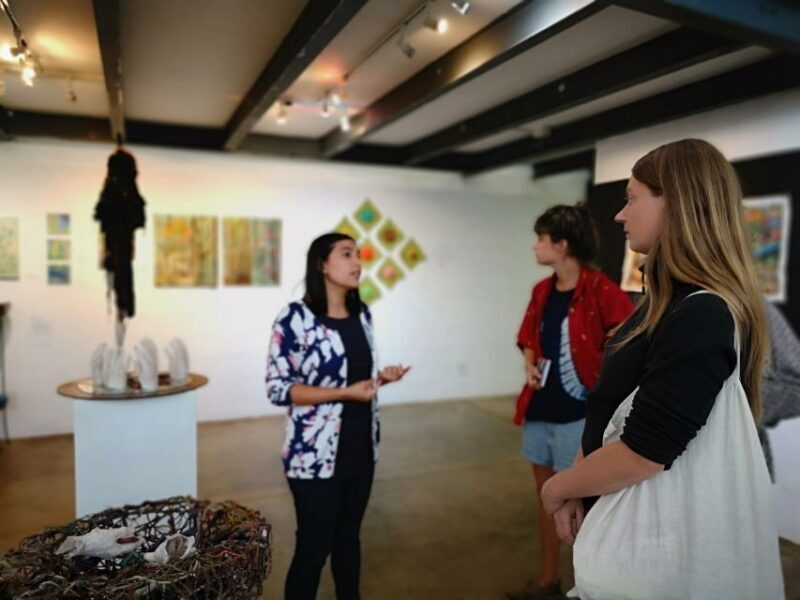 Durban: Interactive Sightseeing Tour with Locals - Key Points