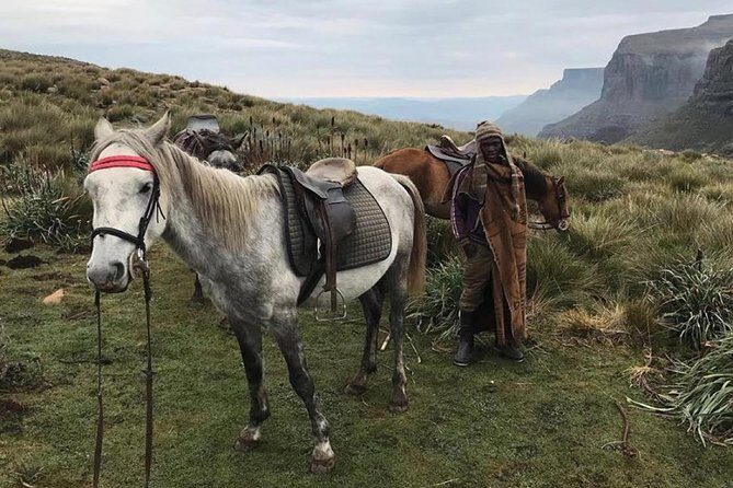 Durban: Journey along the Epic Sani Pass & Lesotho Tour - Key Points