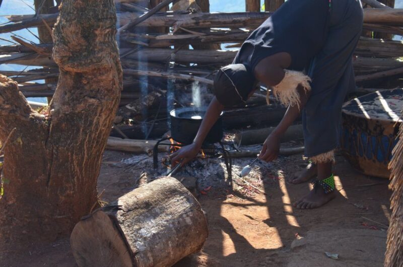 Durban: Phezulu Cultural Village & Reptile Park Tour - The Sum Up