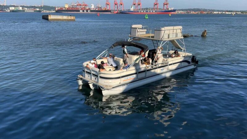 Durban: Pontoon Boat Harbor Cruise - Key Points
