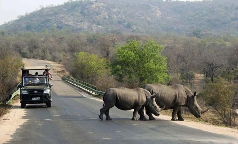Durban: Tala Game Reserve, Phezulu Park, & Market Tour - Key Points