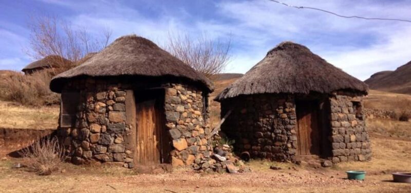 Durban: Tala Game Reserve, Phezulu Park, & Market Tour - Final Thoughts: Is This Tour Right for You?