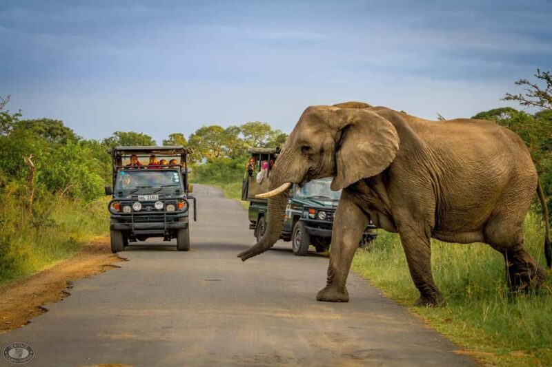 Durban:3 Day Hluhluwe-Imfolozi Park, St Lucia, iSimangaliso - Key Points