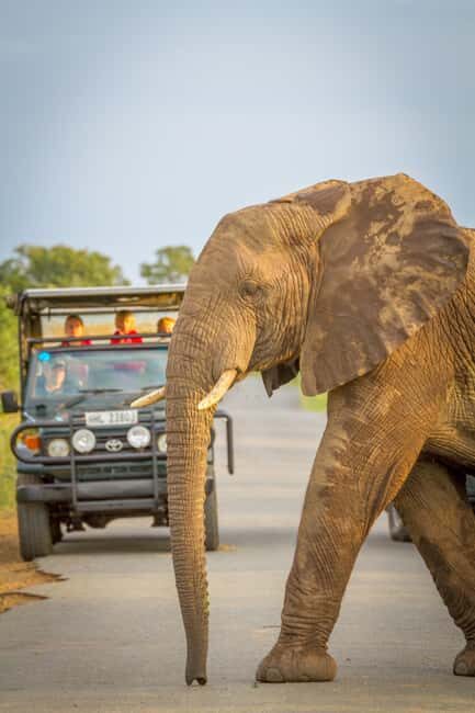 Durban:3 Day Hluhluwe-Imfolozi Park, St Lucia, iSimangaliso - Who Is This Tour Best For?