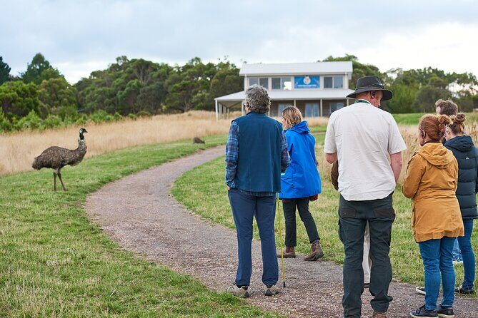 Dusk Discovery Tour - Discovering Wildlife at Dusk: A Review of the Dusk Discovery Tour