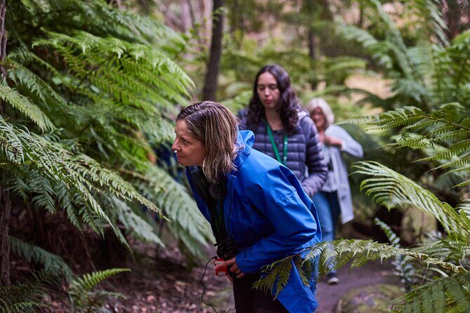 Dusk Discovery Tour - FAQ About the Dusk Discovery Tour