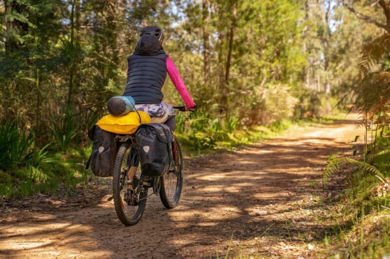 Dwellingup: Munda Biddi Explorer - What to Expect on Your Munda Biddi Explorer Tour