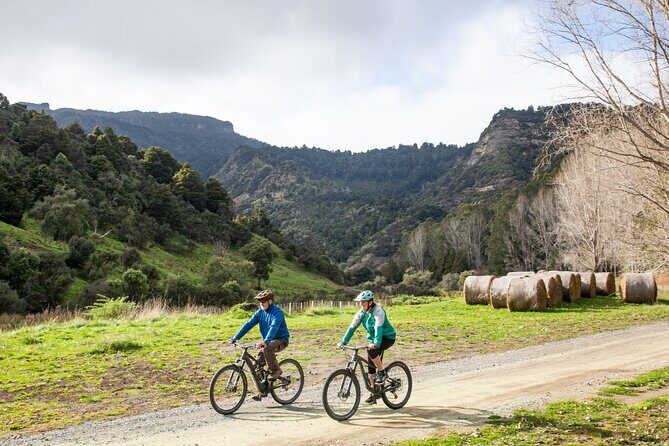 E Bike Adventure on The Laughing Moa Loop - The Sum Up: Who Will Love This?