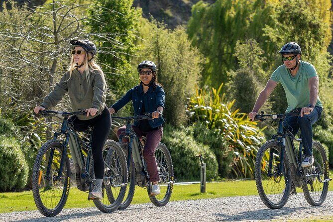 E-Bike Adventures Through the Wineries in Gibbston - Final Thoughts: Who Is This Tour For?