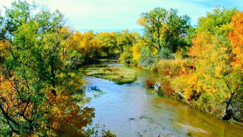E-Bike & Brews: Denver's Platte River & Brewery E-Bike Tour - The Details of the Ride