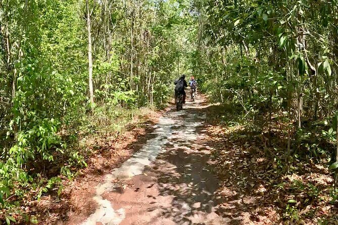E-bike cenote jungle city tour in Playa del Carmen - Cost and Value: Is it Worth the Price?