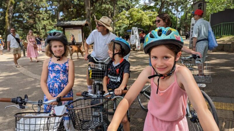 E-Bike Nara Highlights - Todaiji, Knives, Deer, Shrine - The Experience: A Detailed Look at the Nara Highlights Tour