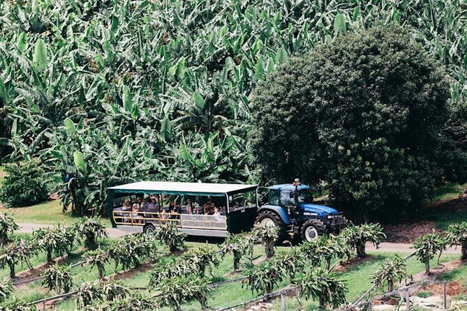 E-bike Rail Trail & Tropical Fruit World Tour: Gold Coast & Byron - The Journey Begins: From Pickup to Murwillumbah