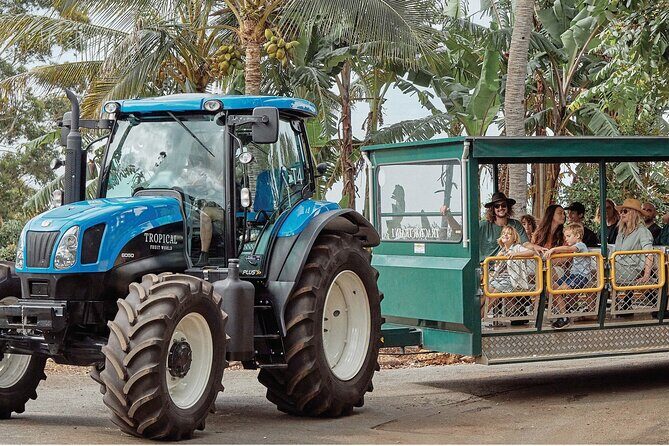 E-bike Rail Trail & Tropical Fruit World Tour: Gold Coast & Byron - Who Will Love This Tour?