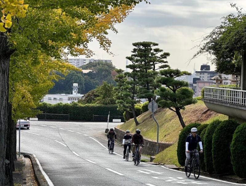 e-bike tour Himeji Castle Town along the old roads - Exploring Himeji on Two Wheels