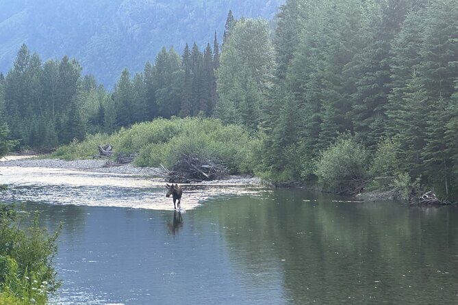 E Bike Tour in Glacier National Park Cammas Road - The Experience: What Do You Really Get?