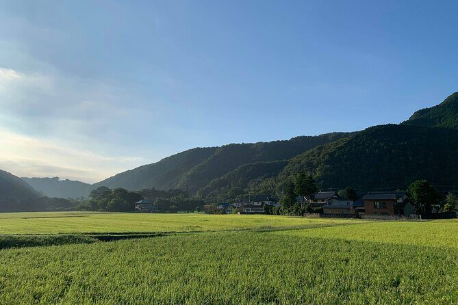 E-bike tour in the country side of Saitama near Tokyo - The Sum Up