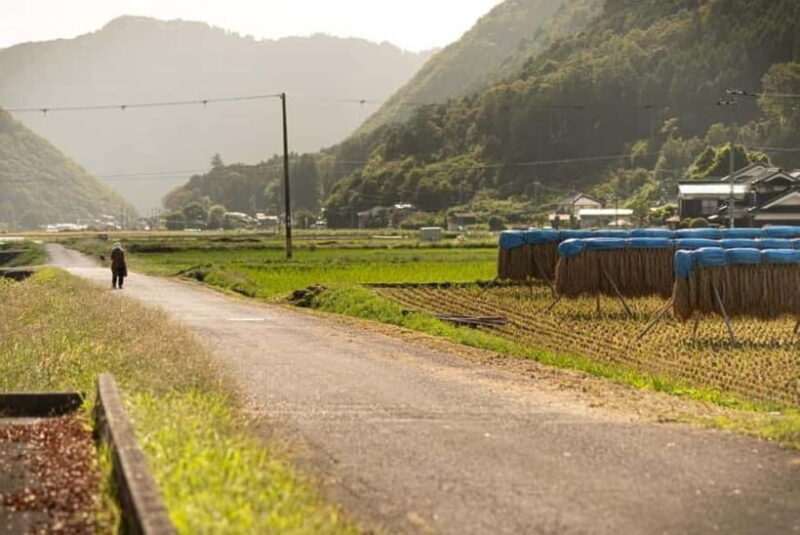 e-bike tour Shis Region with Sake Brewery Tour - Practical Considerations