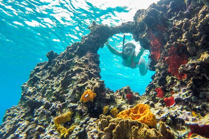 E-bike West Coast Snorkeling Tour - An In-Depth Look at the Tour Itinerary