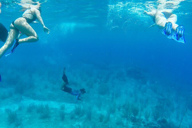 E-bike West Coast Snorkeling Tour - Final Thoughts: Who Should Consider This Tour?