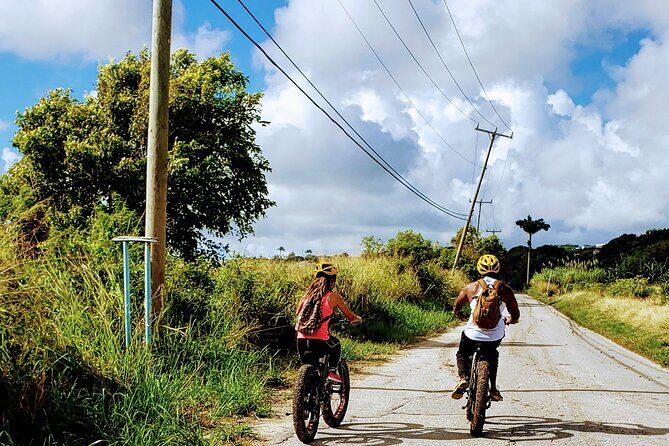 E-bikes Experience in St Philip - An Overview of the E-Bike Experience in St. Philip