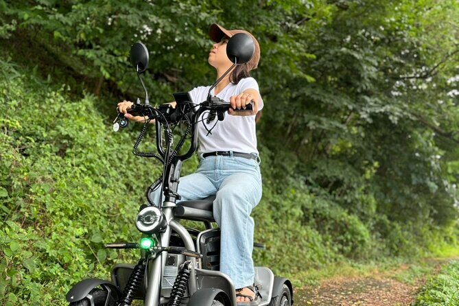 E-Kart Without Driver's License Can be driven on Public roads - Practical Considerations