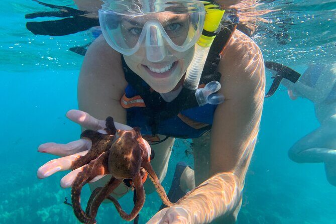 E-Scooter Snorkel With Photo and Video At Turtle Town - What to Expect from Your Maui E-Scooter Snorkel Adventure
